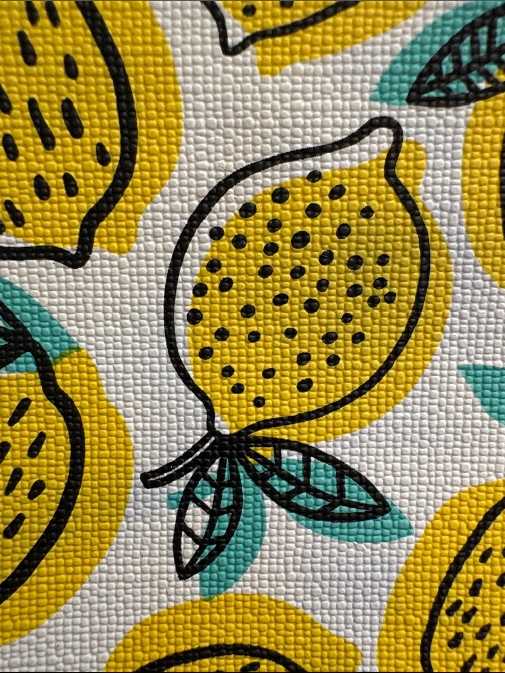 🍋 (3) Lemon/Citrus Fruits Cosmetics Bags